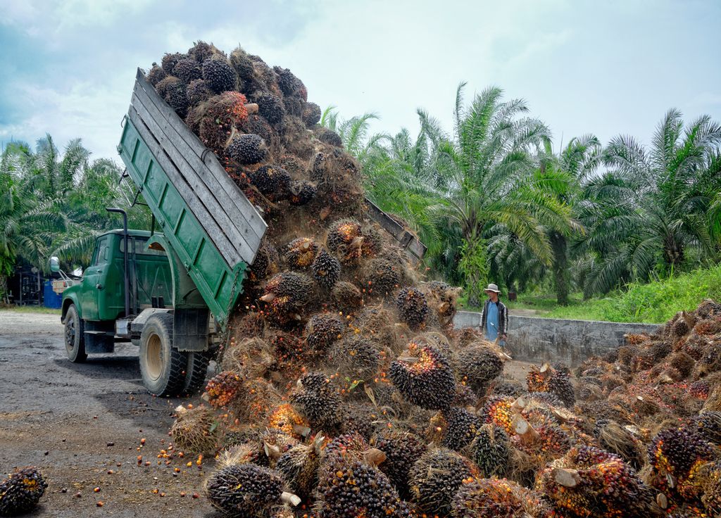Camión materia prima para la elaboración del aceite de palma