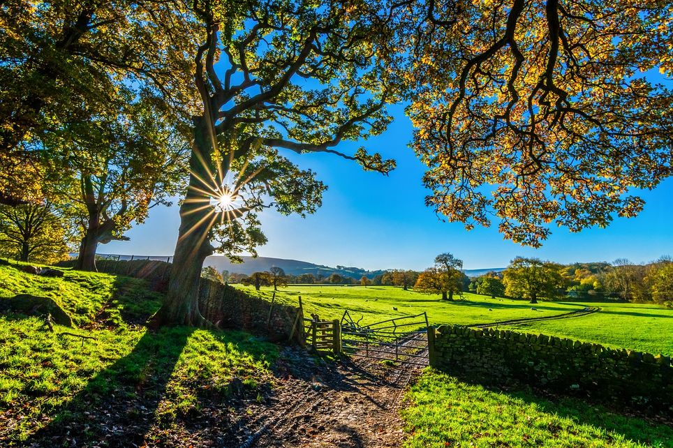 Automne Automne