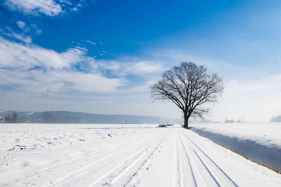 froid en france froid en france
