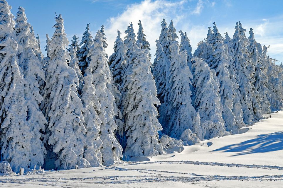 neige neige