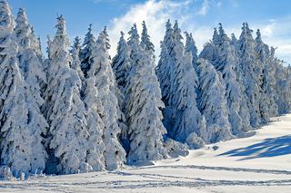 Une météo très contrastée