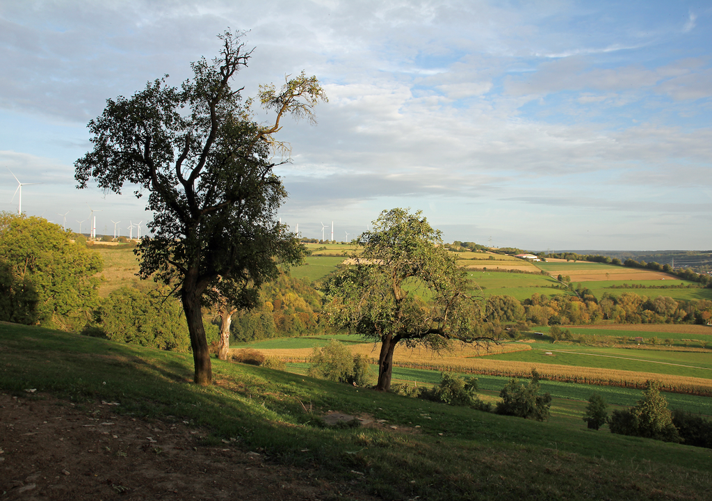Panorama, Etteln, Umland, Gemeinde Borchen, Kreise Paderborn Panorama, Etteln, Umland, Gemeinde Borchen, Kreise Paderborn