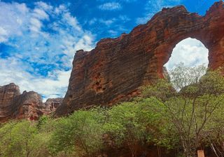 Unidades de conservação brasileiras completam 25 anos com mais de 3 mil áreas ativas