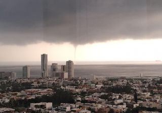Universidad Veracruzana presentará 65 propuestas ante el cambio climático