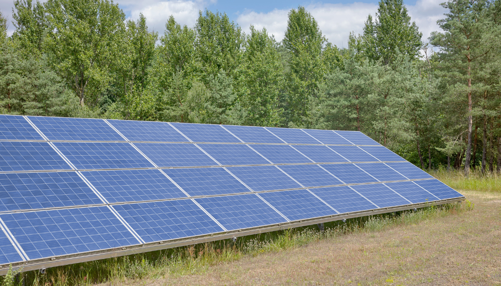 Paneles solares instalados sobre terrenos agrícolas permiten generar energía limpia mientras protegen los cultivos, reducen la evaporación y mejoran el uso del agua, una estrategia clave frente a la sequía y el cambio climático.