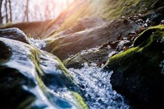 University of Massachusetts research shows majority of river flows are vulnerable to pollution under Clean Water Act