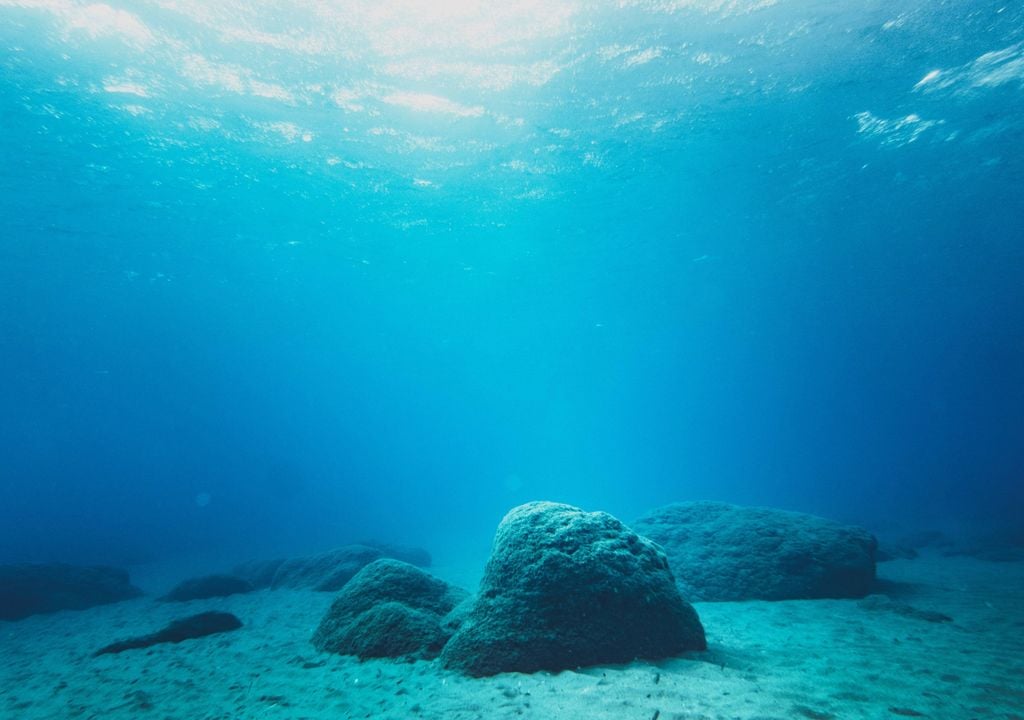 Unlocking the carbon preservation in the oceans