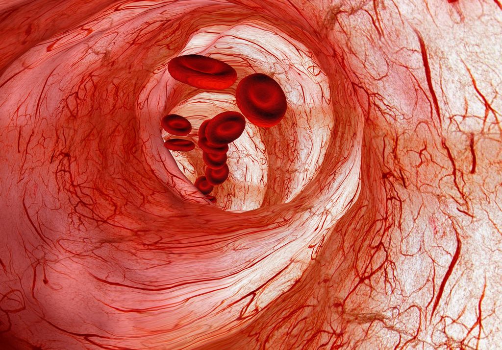 La hemofilia es la falta de algún factor de la coagulación que si no se controla puede ser mortal. La hemofilia es la falta de algún factor de la coagulación que si no se controla puede ser mortal.