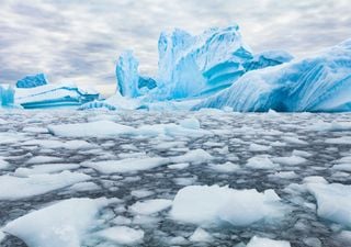 Unos científicos españoles del CSIC descubren ‘contaminantes eternos’ en una de las zonas más remotas del planeta