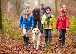 Unusual heat: UK to face high temperatures on 30 November