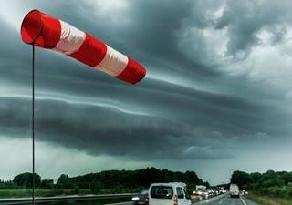 Unwetterwarnung vor schwerem Sturm in Deutschland! Blockierte Straßen und Bahnwege! 