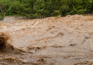 Neue Sturzfluten in Deutschland: Der Deutsche Wetterdienst warnt ab dem Nachmittag in diesen Regionen vor Unwettern! 