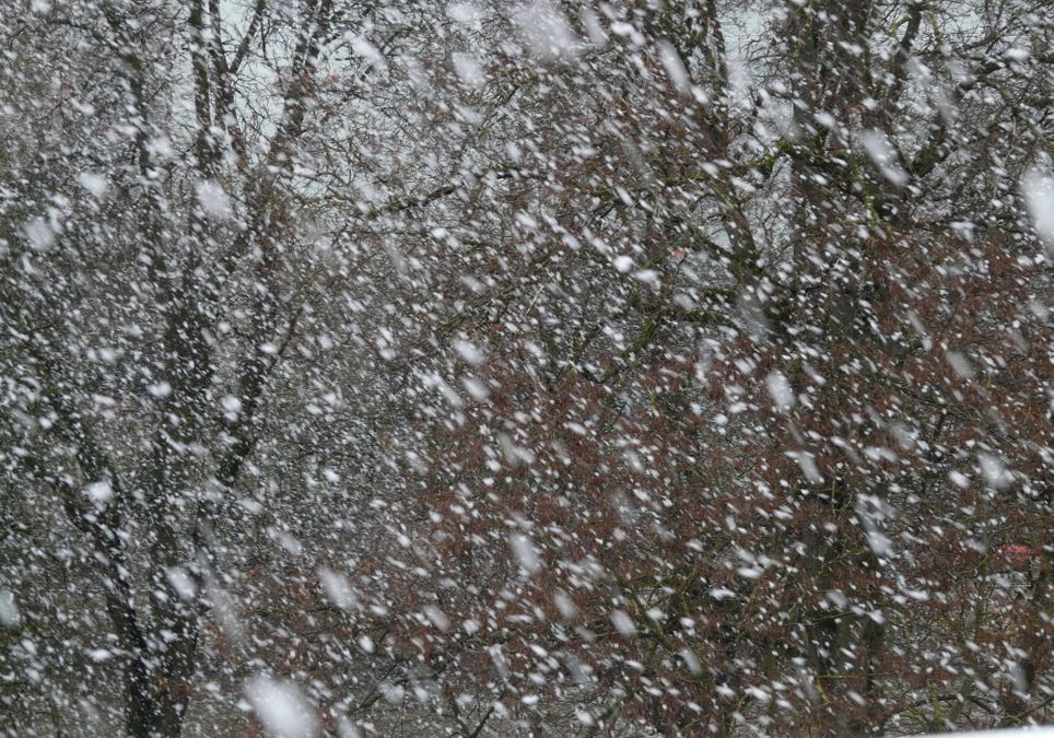Schneesturm Schneesturm
