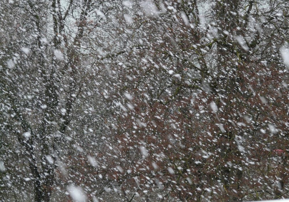 Schneesturm Schneesturm