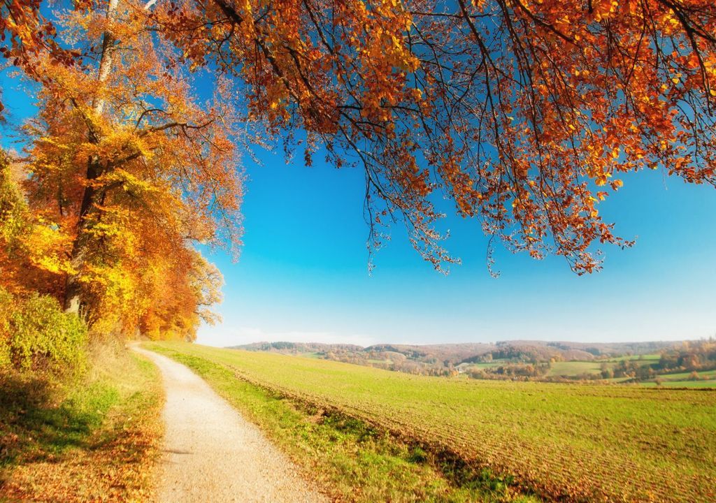 altweibersommer, sonnenschein, herbst altweibersommer, sonnenschein, herbst