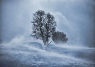 Unwetterwarnung: Wintersturm Hermine mit Schnee und Orkanböen!