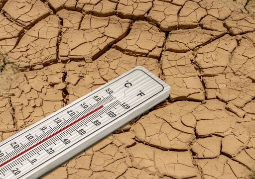 Update: 40 Grad im Sommer 2026 - So gro&szlig; ist die Chance und diese Regionen trifft die Hitze zuerst