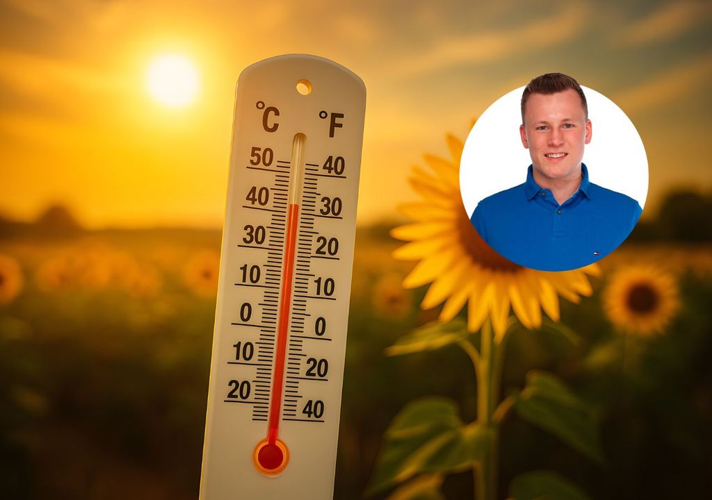 warm, juni, 2025 warm, juni, 2025