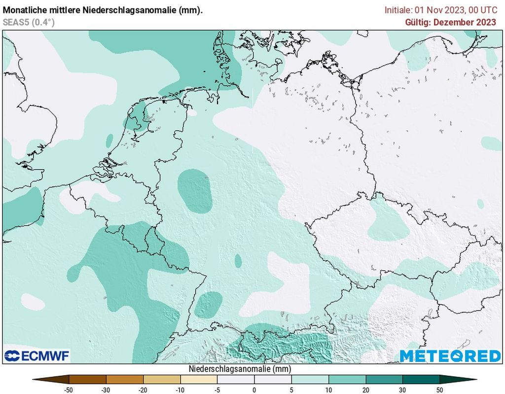 nass, dezember, mildwinter