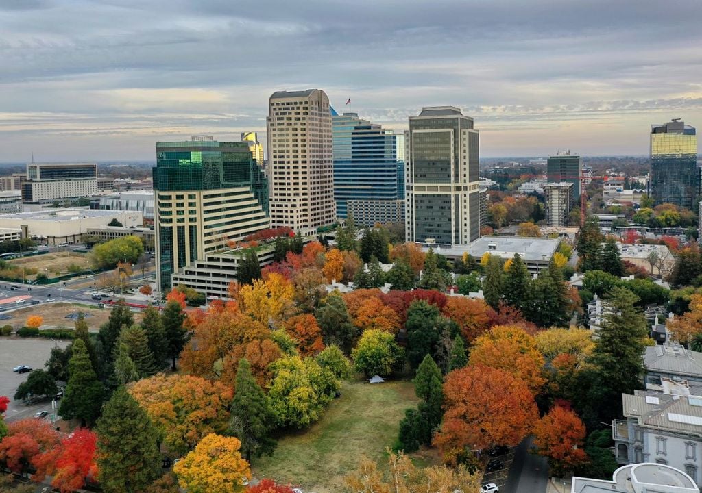 Urban trees feel the heat of climate change