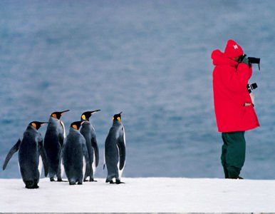 Urge La Regulación Turística En La Antártida