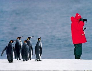 Urge la regulación turística en la Antártida