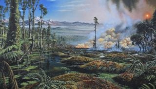 Urzeitliche Waldbr&auml;nde nahe dem S&uuml;dpol: So haben Feuer einst antarktische Moore entstehen lassen