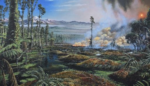 Urzeitliche Waldbr&auml;nde nahe dem S&uuml;dpol: So haben Feuer einst antarktische Moore entstehen lassen