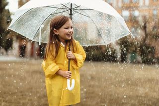 US Weather this Weekend: Showers and storms will persist in the Southeast, while the Midwest will face hotter days