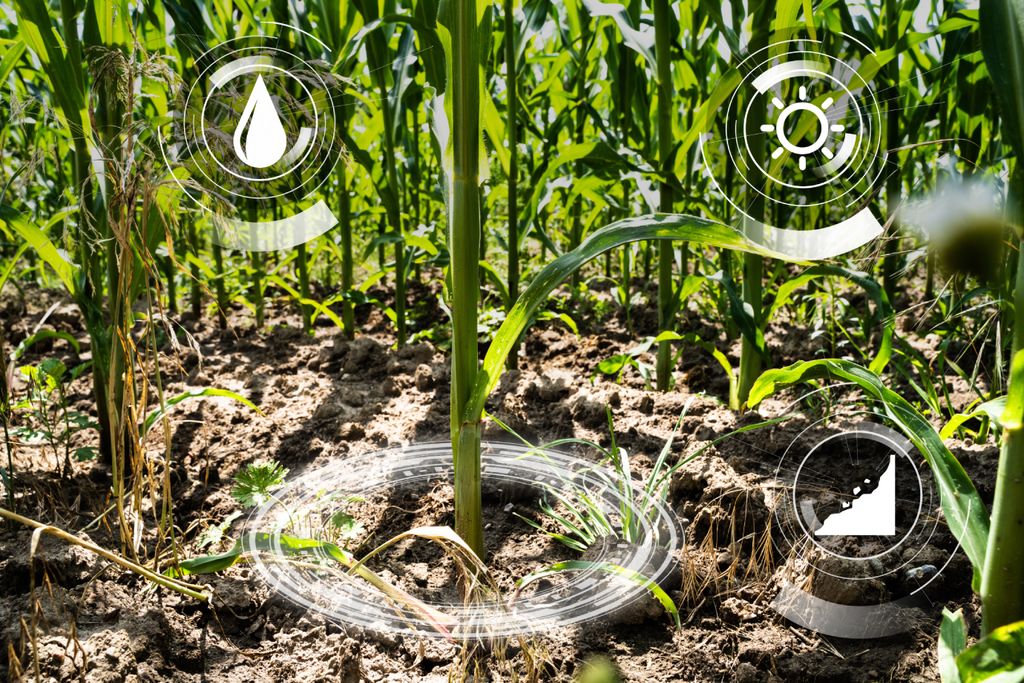 irrigação, tecnologia, brasil