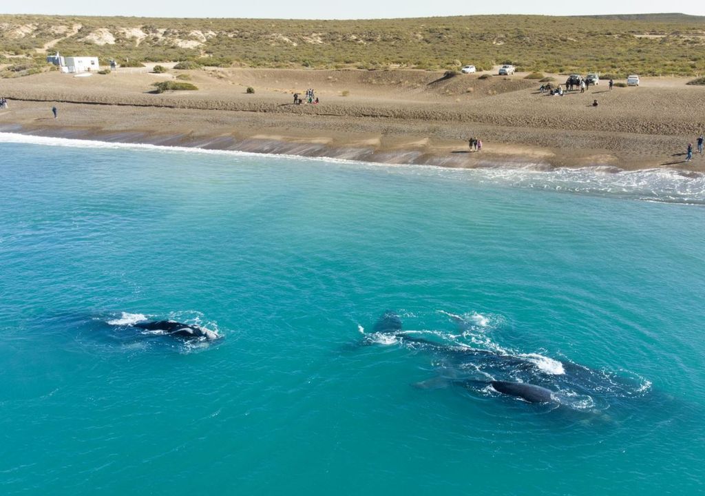 Puerto Madryn Puerto Madryn