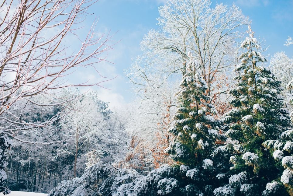 La Neige Bien Présente En Montagne Pour Noël