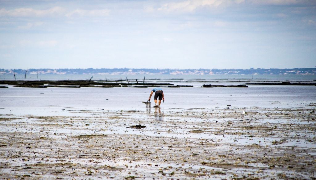 Les petits ports en bord de mer, pour un bain d'iode estival Les petits ports en bord de mer, pour un bain d'iode estival