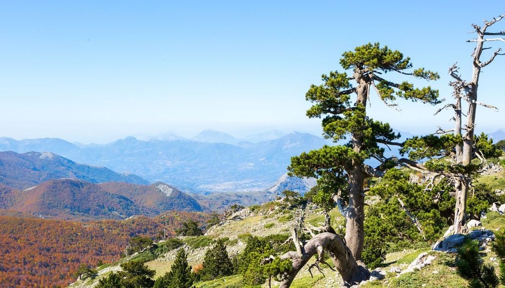 Pollino La natura incontaminata del parco del Pollino, fuori dalle rotte del turismo di massa