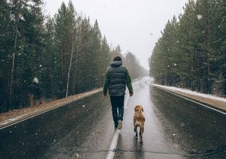 Frio polar invade Portugal no primeiro fim de semana de 2021