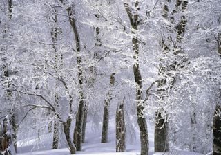 O vórtice polar congela EUA, 50 ºC na Austrália