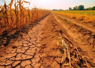 Vague de chaleur à durée indéterminée : vers un mois de septembre caniculaire ?