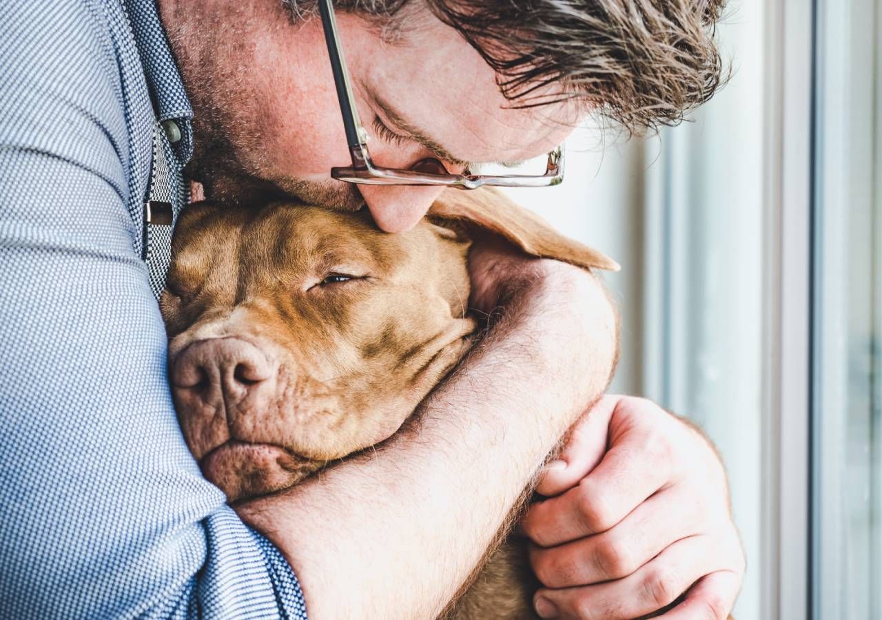 Vai de férias e vai deixar o seu animal de estimação num hotel, saiba como escolher o melhor tendo em consideração alguns aspetos.