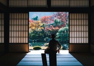 Vai viajar para o Jap&atilde;o? Prepare-se para novas regras