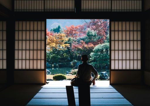 Vai viajar para o Jap&atilde;o? Prepare-se para novas regras