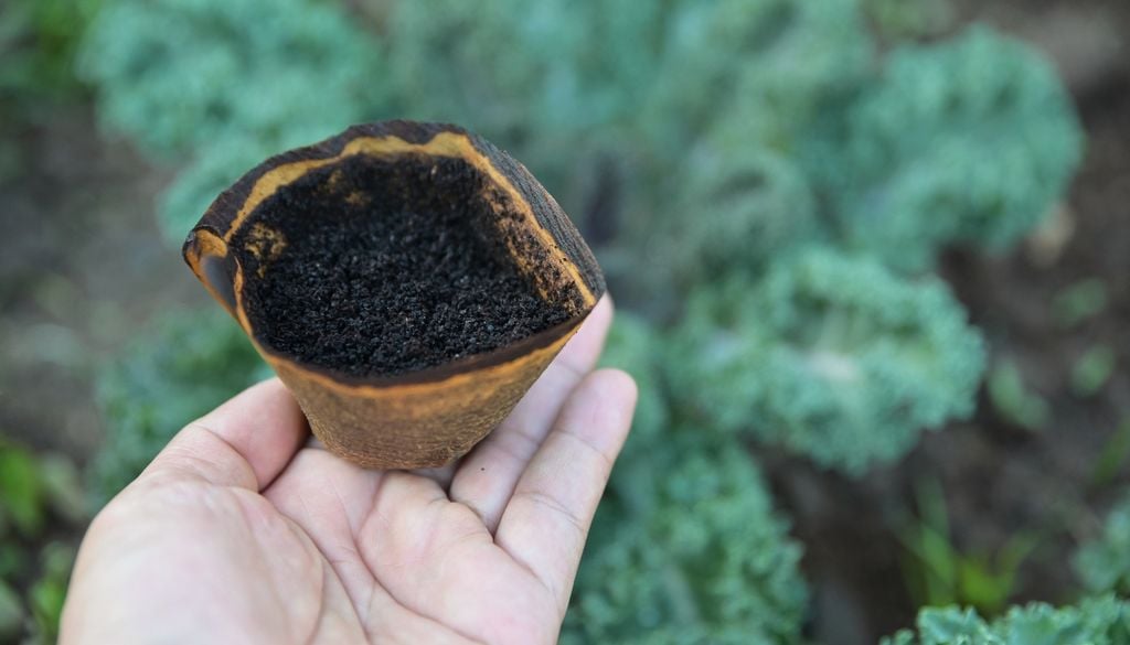 plantas Esparcida en la tierra, puede incomodar a babosas y caracoles.