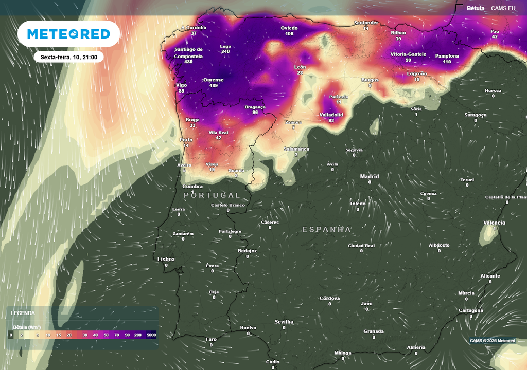 Concentração do pólen de bétula prevista pelo modelo CAMS para sexta-feira, 10 de abril.