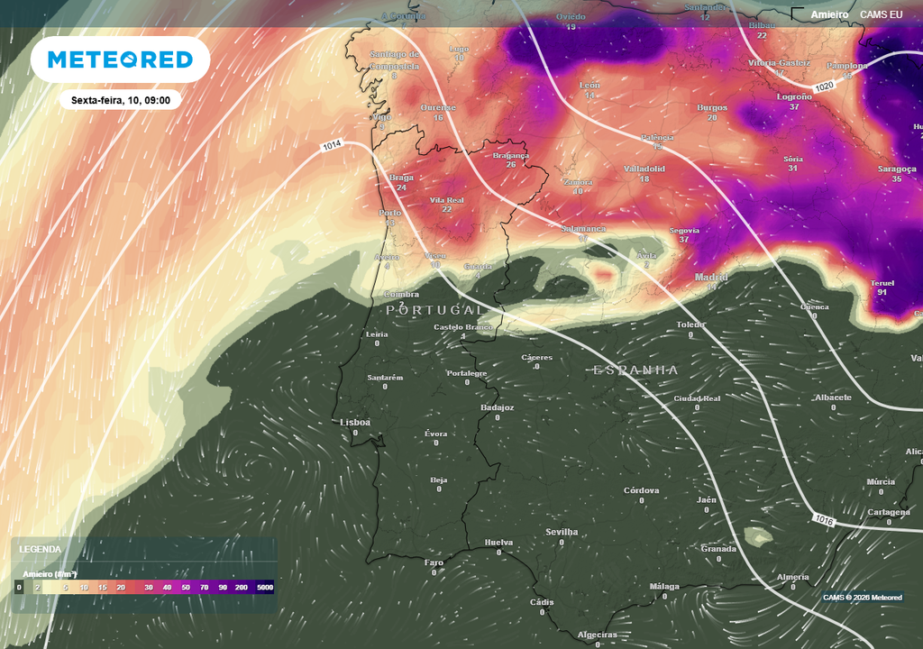 A região mais exposta aos pólenes de bétula e de amieiro será o Norte e de forma muito pontual o Centro-norte, algo que será analisado de forma mais detalhada abaixo.