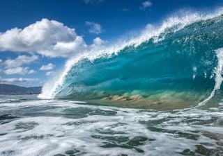 ¿Vas a la playa en Semana Santa? checa estas recomendaciones para ir al mar