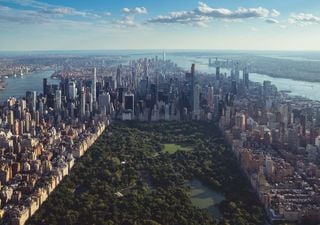 Vegetación de Nueva York absorbe la mayor parte de sus emisiones de carbono
