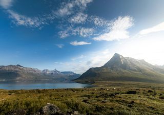 Vegetation replacing Greenland’s melting ice sheet