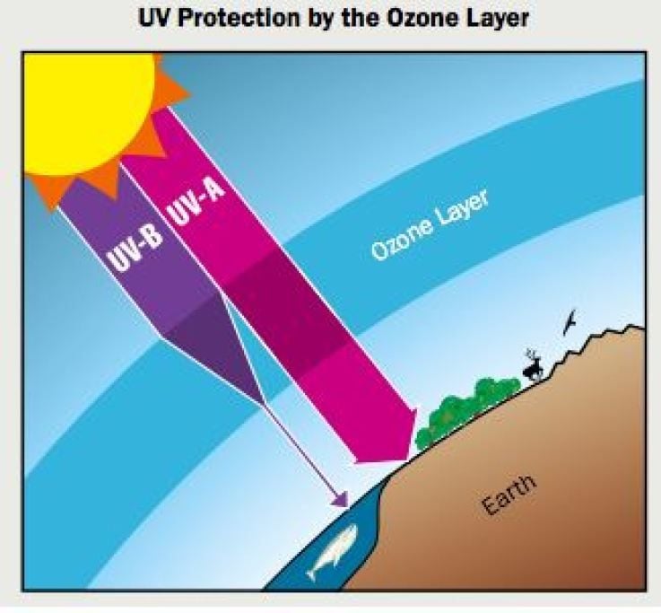 Veinte Preguntas Y Respuestas Sobre La Capa De Ozono