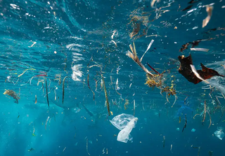 Veinticuatro billones de piezas de microplásticos en el océano
