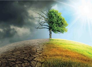 Veja as áreas mais vulneráveis ​​do mundo às mudanças climáticas; você ficará surpreso