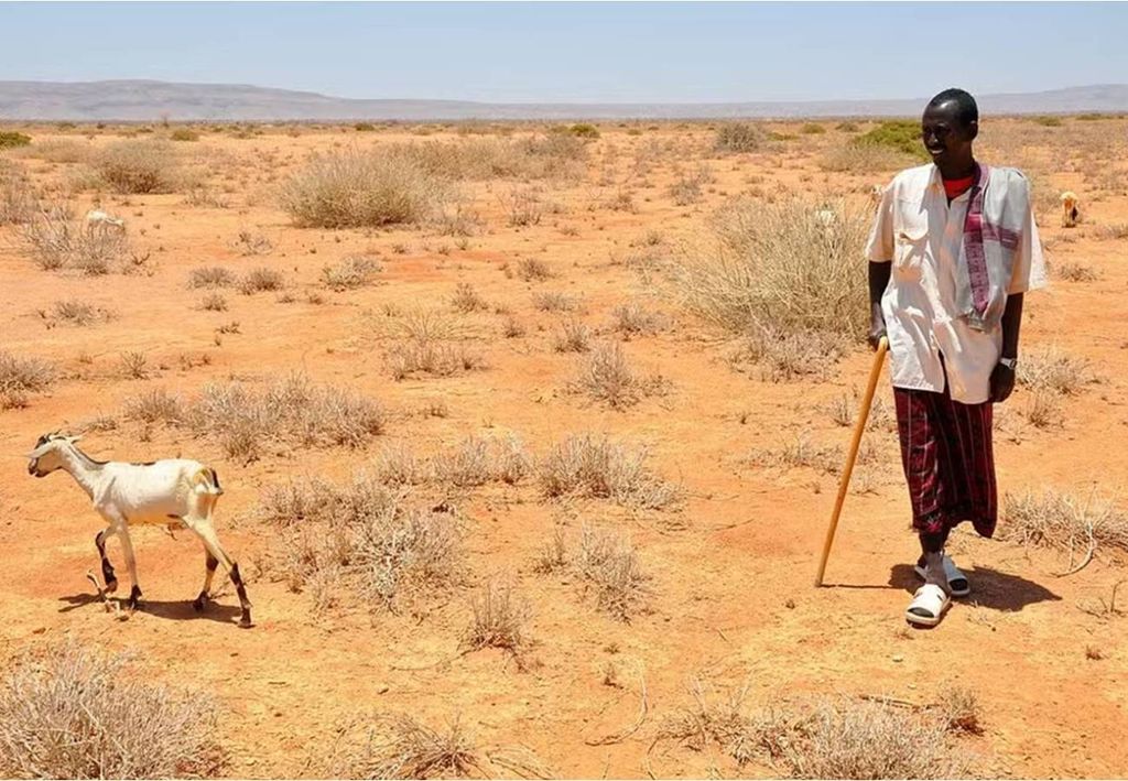 seca severa, Somália, África seca severa, Somália, África